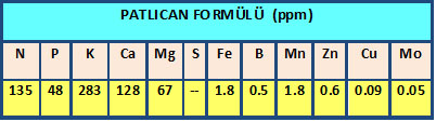 Name:  patlcan.jpg
Views: 2037
Size:  41.4 KB