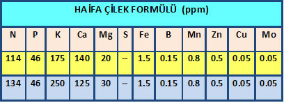 Name:  haifa ilek.jpg
Views: 1558
Size:  51.5 KB