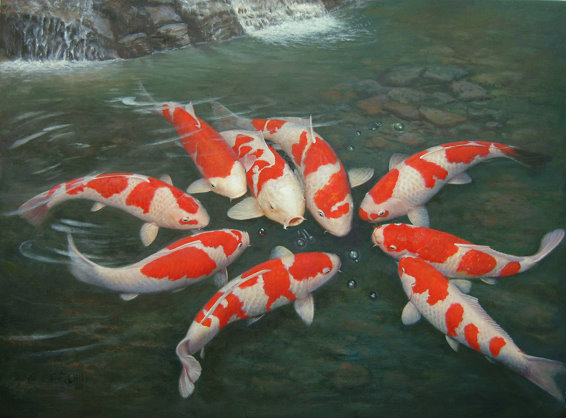 Name:  Koi-Cyprinus-Carpio-Japanese.jpg
Views: 3566
Size:  66.0 KB
