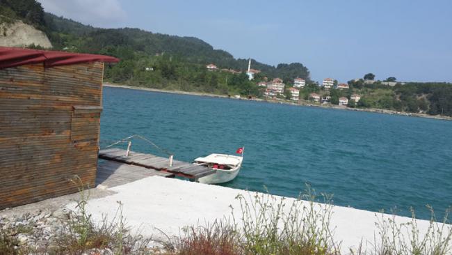 Name:  10.jpg
Views: 1202
Size:  38.6 KB