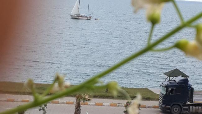 Name:  8.jpg
Views: 1118
Size:  34.2 KB