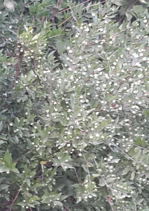 Name:  5.jpg
Views: 1586
Size:  79.3 KB