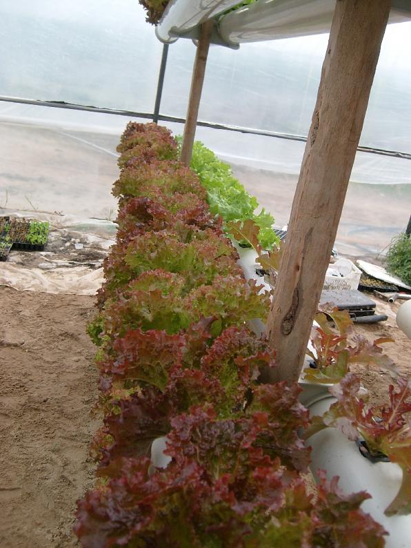 Name:  sahibinden_S7302050.jpg
Views: 2374
Size:  81.5 KB