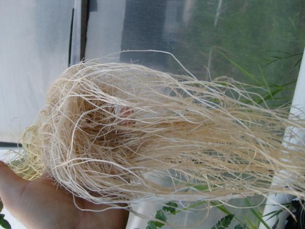 Name:  sahibinden_S7302100.jpg
Views: 5439
Size:  40.1 KB