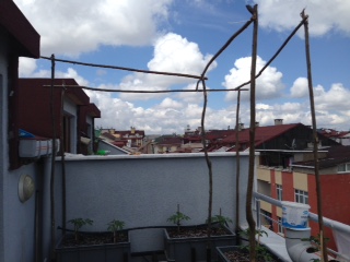 Name:  IMG_6165.JPG
Views: 744
Size:  36.3 KB
