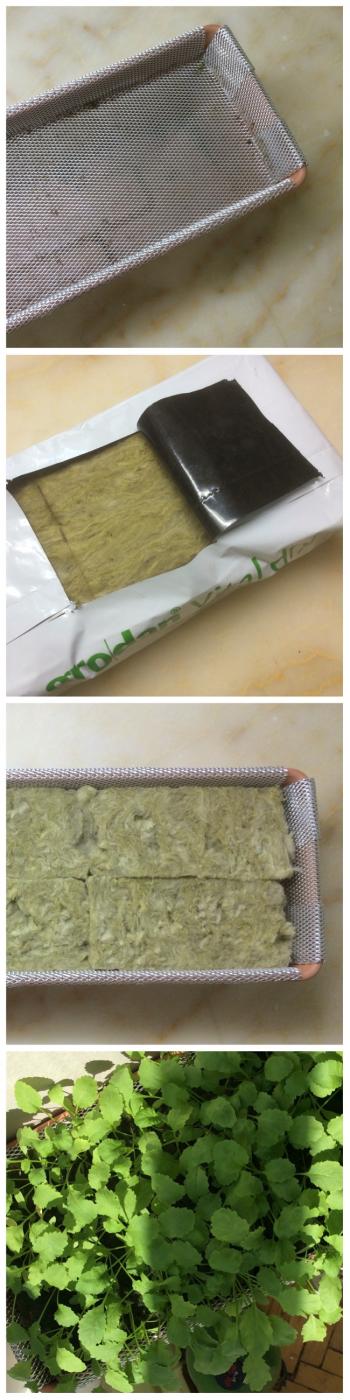 Name:  image.jpg
Views: 867
Size:  81.1 KB