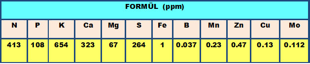 Name:  formlst.jpg
Views: 709
Size:  47.1 KB