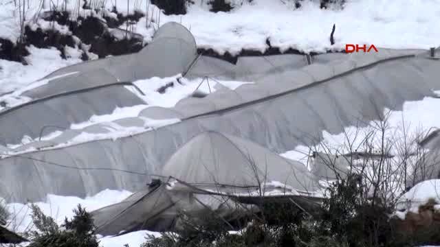 Name:  bilecik-te-kar-seralari-yerle-bir-etti-6832475_x_o.jpg
Views: 3046
Size:  32.0 KB