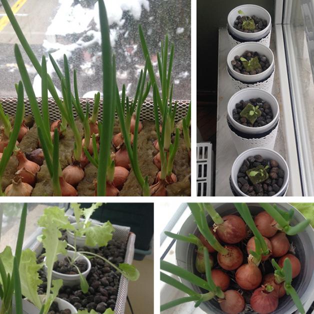Name:  Kratky.jpg
Views: 775
Size:  71.4 KB