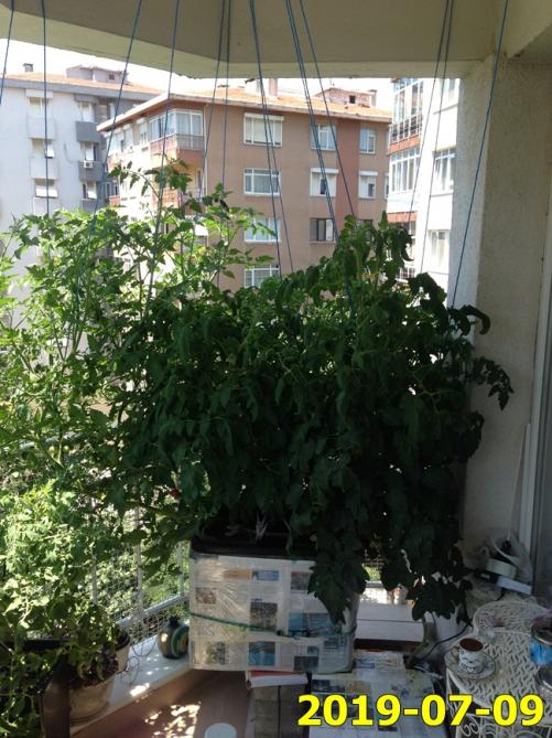 Name:  IMG_1636.jpg
Views: 728
Size:  70.6 KB