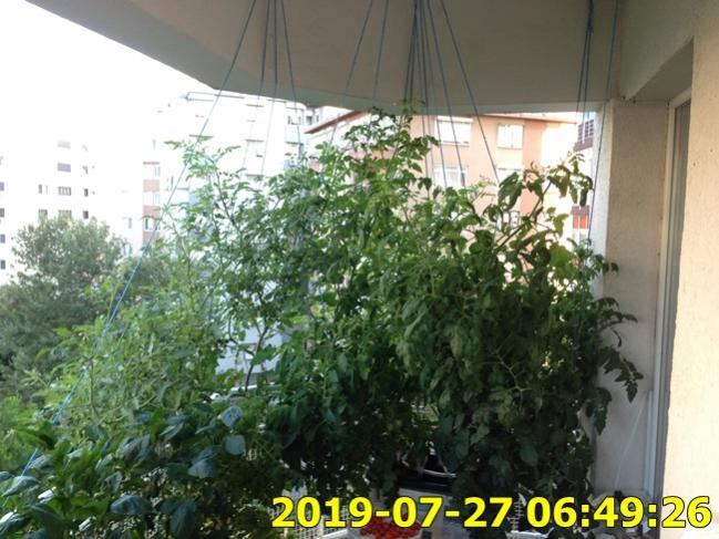 Name:  IMG_1790.jpg
Views: 748
Size:  59.3 KB