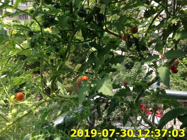 Name:  IMG_1862.jpg
Views: 380
Size:  73.0 KB