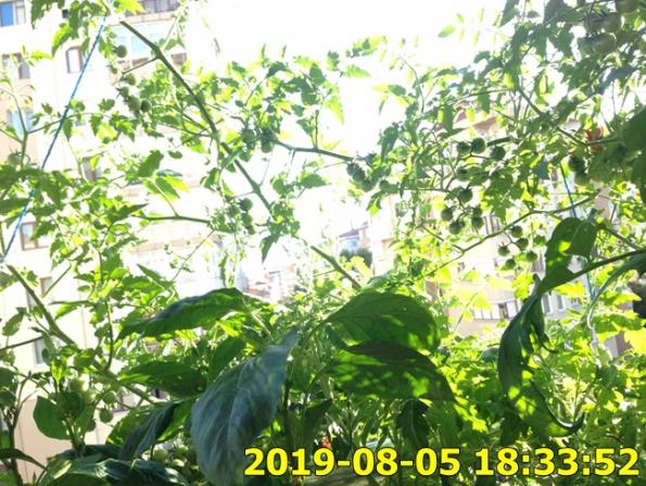 Name:  IMG_1922.jpg
Views: 307
Size:  73.3 KB