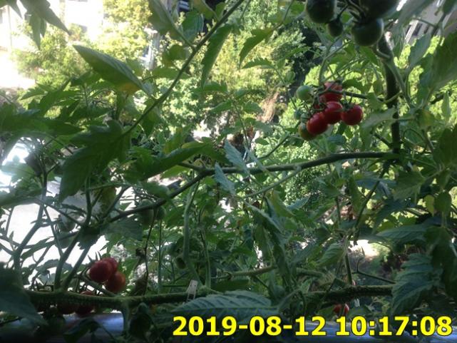Name:  IMG_1968.jpg
Views: 295
Size:  71.3 KB