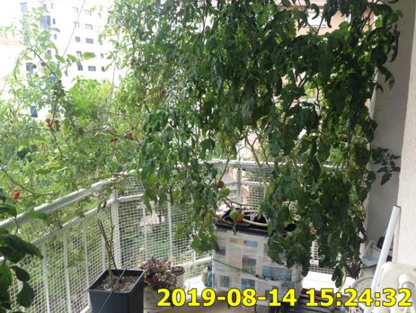 Name:  IMG_1980.jpg
Views: 291
Size:  72.8 KB