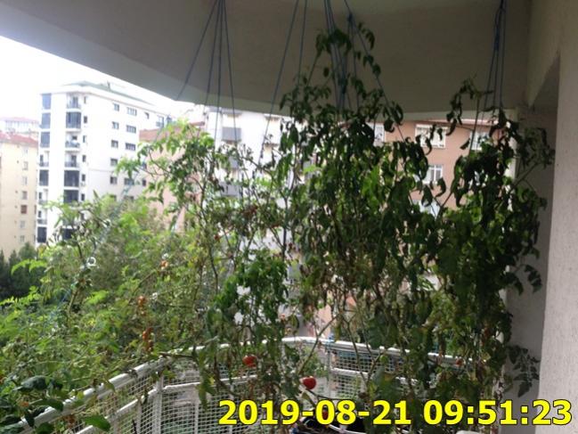 Name:  IMG_2036.jpg
Views: 241
Size:  65.5 KB