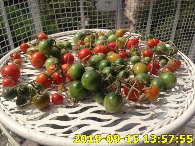 Name:  IMG_2127.jpg
Views: 207
Size:  70.0 KB