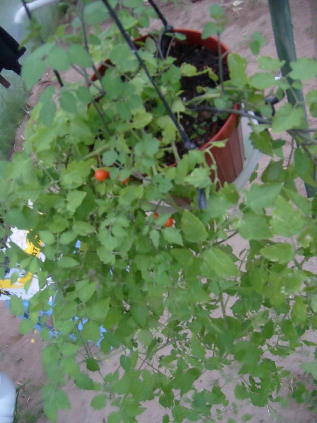 Name:  sahibinden_S7302325.jpg
Views: 4101
Size:  70.1 KB