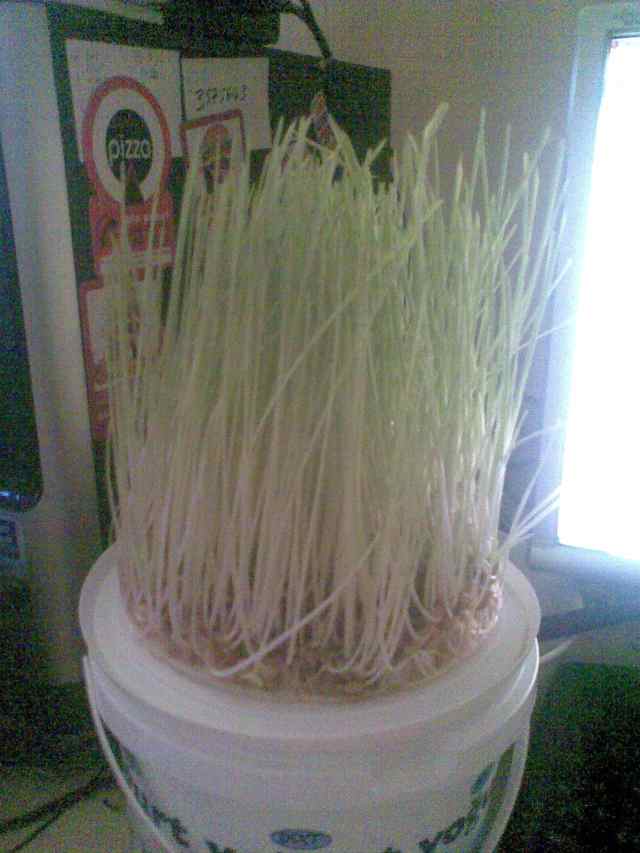 Name:  grnt012cde.jpg
Views: 38057
Size:  38.2 KB
