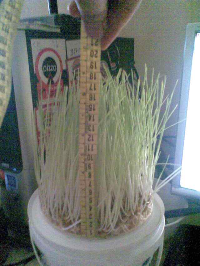 Name:  grnt013lqg.jpg
Views: 37516
Size:  46.5 KB
