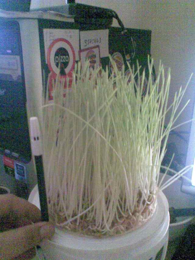Name:  grnt016g.jpg
Views: 37109
Size:  49.8 KB