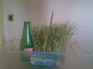 Name:  grnt020m.jpg
Views: 37261
Size:  28.6 KB