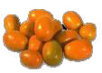 Name:  kumquat12.jpg
Views: 43083
Size:  3.5 KB