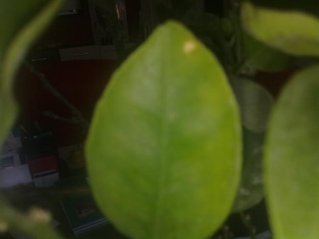 Name:  14032011130.jpg
Views: 4057
Size:  16.3 KB