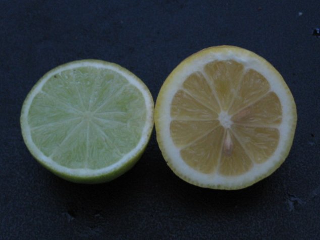 Name:  agaclarimdan ornekler[tahiti lime] 004.jpg
Views: 20433
Size:  36.4 KB