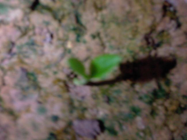 Name:  Fotoraf-0027.jpg
Views: 1119
Size:  25.6 KB