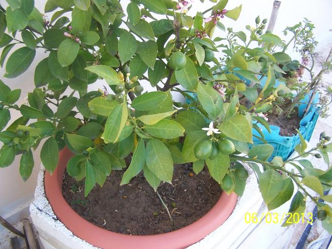Name:  014.jpg
Views: 14380
Size:  68.9 KB