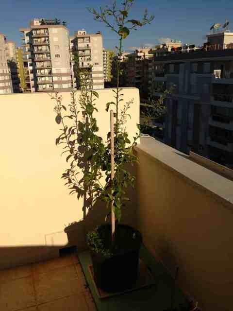Name:  ImageUploadedByTapatalk1363510567.236633.jpg
Views: 1760
Size:  42.7 KB
