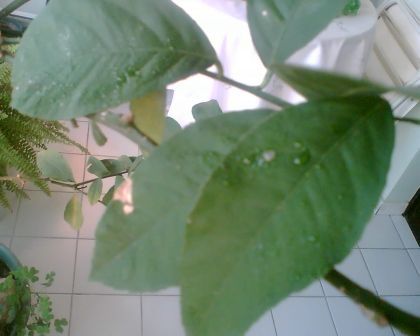Name:  image1.jpg
Views: 148665
Size:  18.8 KB