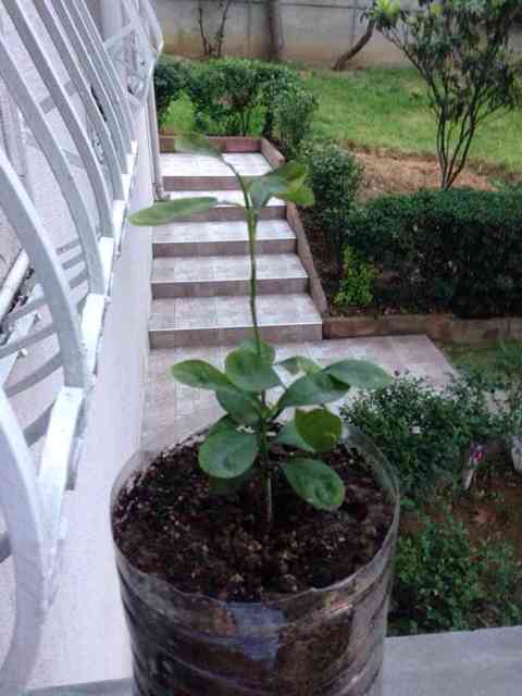 Name:  ImageUploadedByTapatalk1398271448.376336.jpg
Views: 1633
Size:  27.2 KB