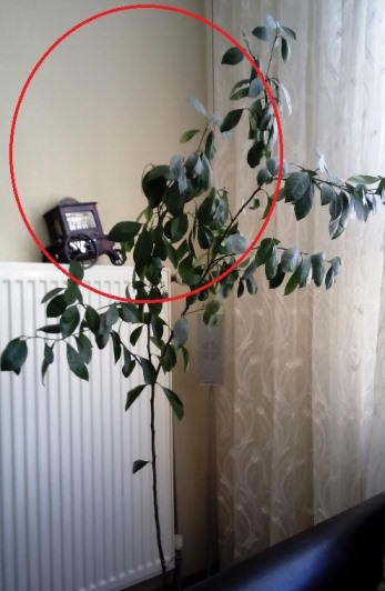 Name:  IMGa.jpg
Views: 1188
Size:  55.2 KB