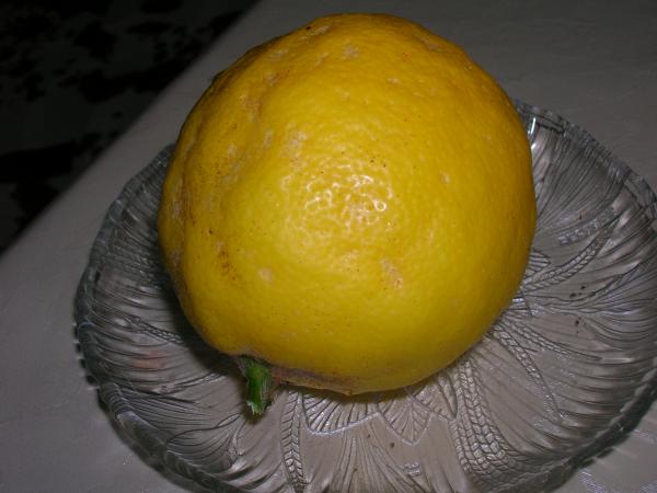 Name:  005.jpg
Views: 23448
Size:  32.1 KB