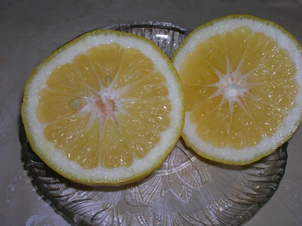 Name:  006.jpg
Views: 23668
Size:  38.1 KB