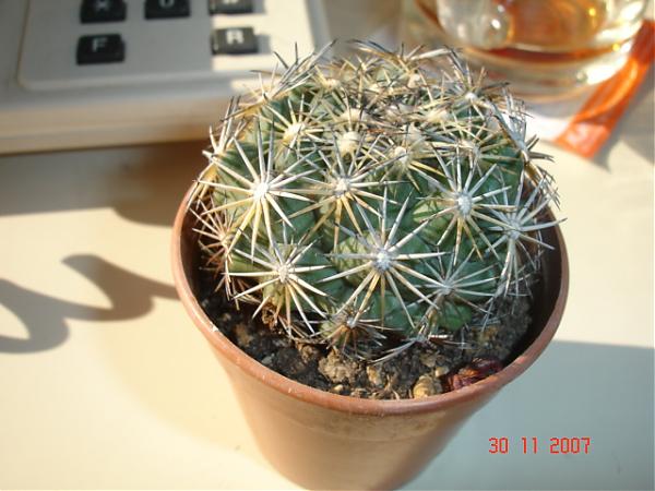 Name:  DSC01487.jpg
Views: 586
Size:  43.6 KB