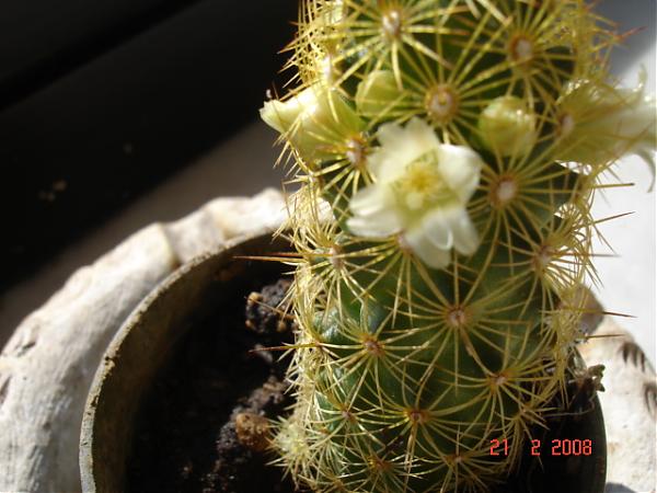 Name:  DSC01618.jpg
Views: 587
Size:  44.0 KB