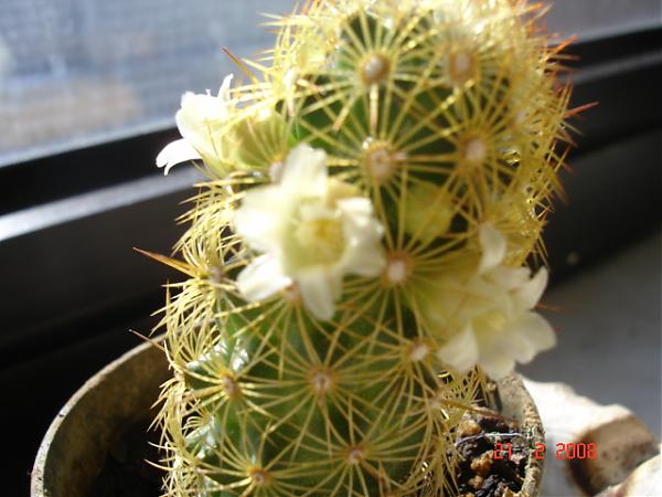 Name:  DSC01619.jpg
Views: 586
Size:  41.4 KB