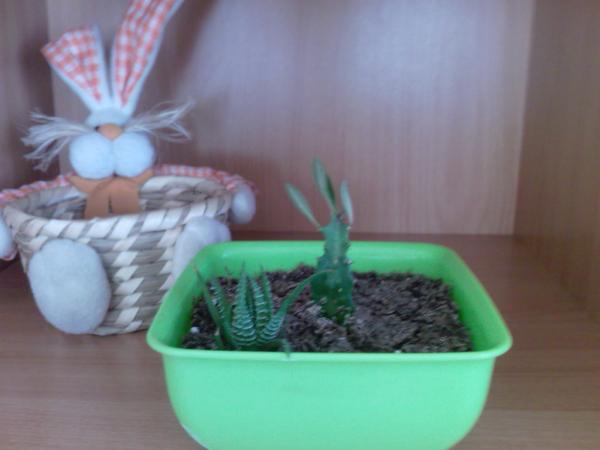 Name:  Fotoraf-0005.jpg
Views: 483
Size:  24.1 KB