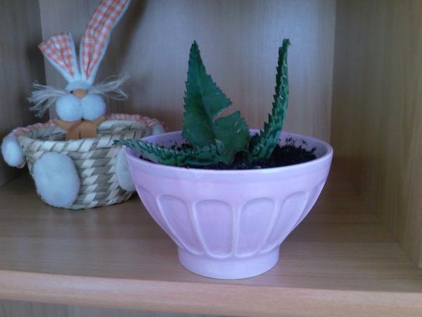 Name:  Fotoraf-0006.jpg
Views: 610
Size:  25.5 KB