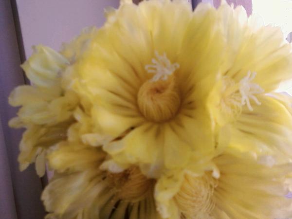Name:  Resimler 1 032.jpg
Views: 496
Size:  22.2 KB