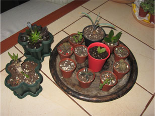 Name:  hediyelerim.jpg
Views: 1393
Size:  48.7 KB