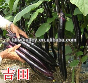 Name:  Hybrid-F1-Long-Black-Purple-Shiny-And.jpg
Views: 470
Size:  23.2 KB
