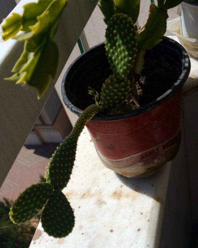 Name:  20190724_100709.jpg
Views: 514
Size:  50.6 KB