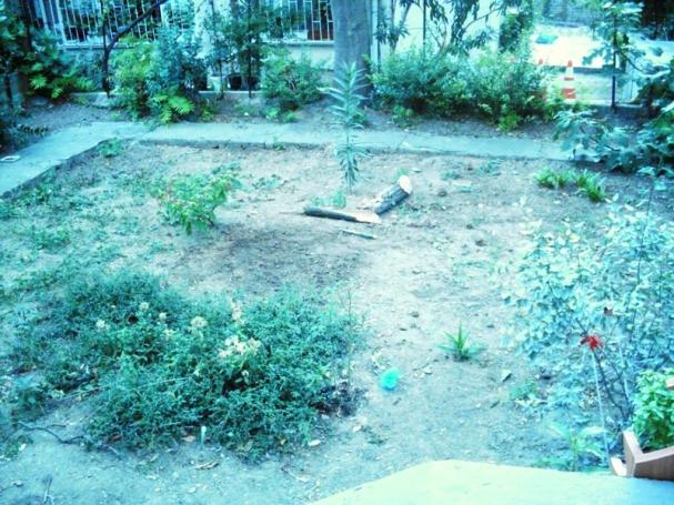 Name:  bahem ilk.jpg
Views: 2601
Size:  71.1 KB