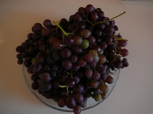 Name:  agac5.jpg
Views: 1407
Size:  33.6 KB
