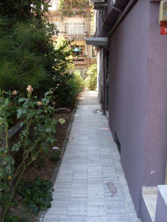 Name:  bacegirii.jpg
Views: 1217
Size:  66.7 KB
