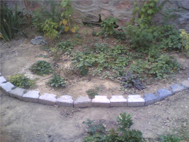 Name:  7.jpg
Views: 5354
Size:  55.8 KB